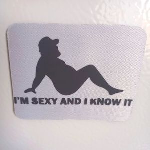 "Sexy and I know It  " Fabric Refrigerator Magnet 3"X2.4